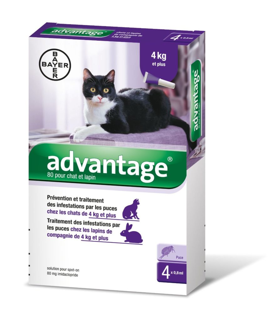 Advantage-80-Bayer-Animals